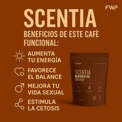 🌿☕ Café Scentia
