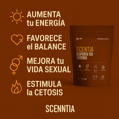 🌿☕ Café Scentia